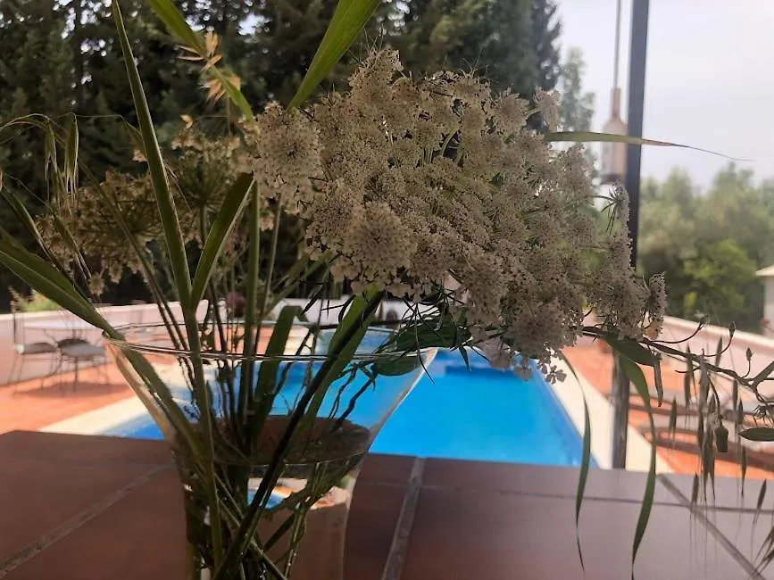 Casita Azahar Andalucia Villa Alhaurin de la Torre 0*,