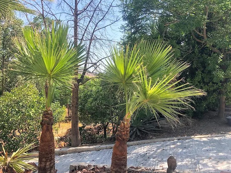 阿尔豪林德拉托里Casita Azahar Andalucia别墅 0*, 阿尔豪林德拉托里