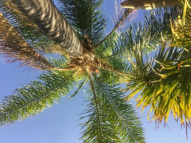 阿尔豪林德拉托里Casita Azahar Andalucia别墅 度假居 阿尔豪林德拉托里